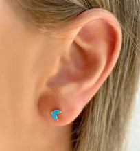 Load image into Gallery viewer, Aker Turquoise Stud Earrings