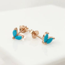 Load image into Gallery viewer, Aker Turquoise Stud Earrings