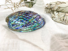 Load image into Gallery viewer, Abalone Shell - Natural Polished