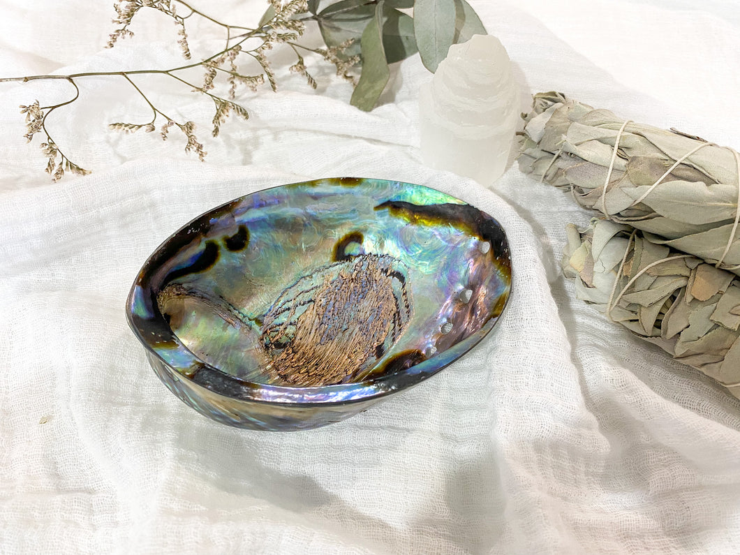 Abalone Shell - Natural Polished
