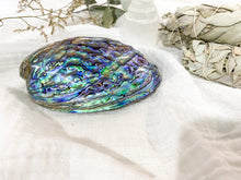 Load image into Gallery viewer, Abalone Shell - Natural Polished
